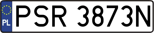 PSR3873N