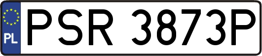 PSR3873P