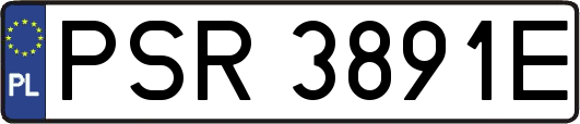 PSR3891E
