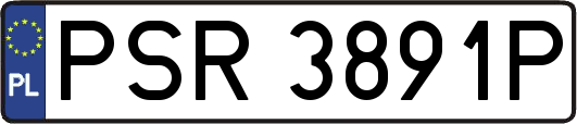 PSR3891P