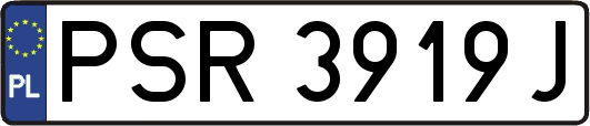 PSR3919J