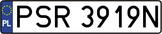 PSR3919N