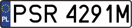 PSR4291M
