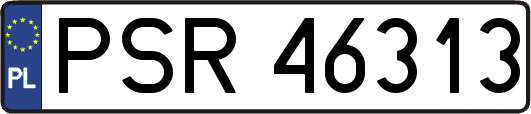 PSR46313