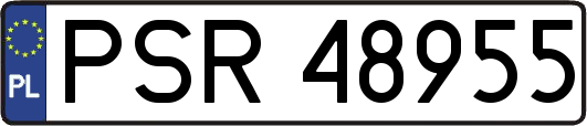 PSR48955