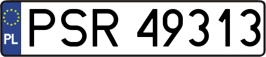 PSR49313