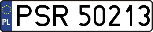 PSR50213