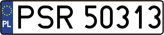 PSR50313