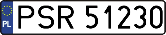 PSR51230