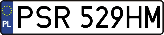 PSR529HM