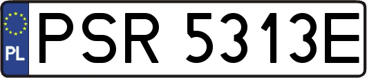 PSR5313E