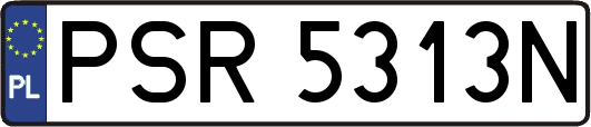 PSR5313N