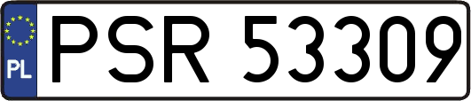 PSR53309
