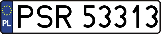PSR53313
