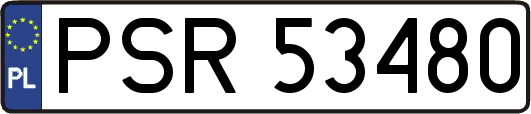 PSR53480