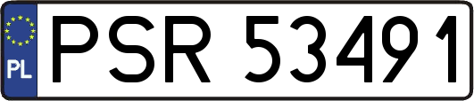 PSR53491
