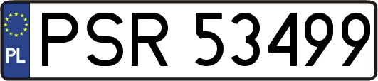 PSR53499