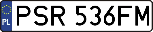 PSR536FM