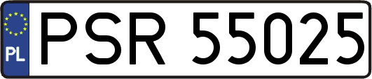 PSR55025