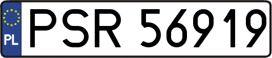 PSR56919