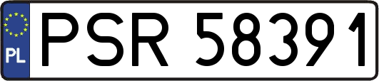 PSR58391