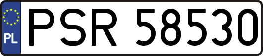 PSR58530