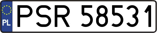 PSR58531