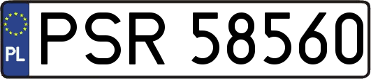 PSR58560