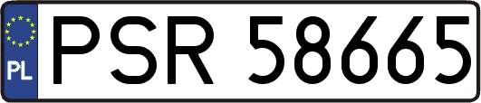 PSR58665