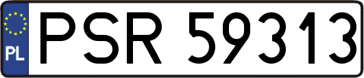 PSR59313