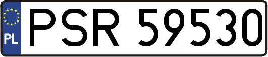 PSR59530