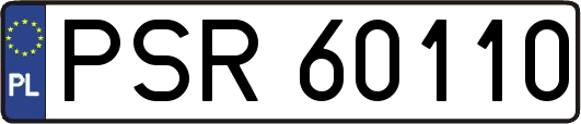 PSR60110
