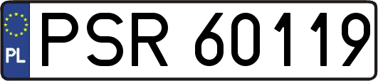 PSR60119