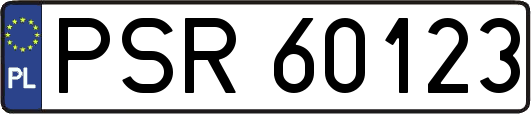 PSR60123