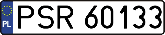 PSR60133