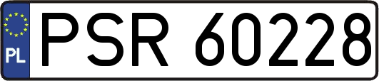 PSR60228