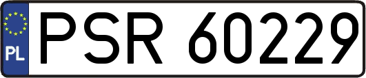PSR60229