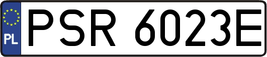 PSR6023E