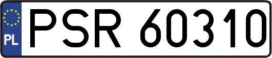 PSR60310