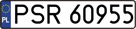 PSR60955