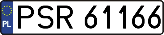 PSR61166