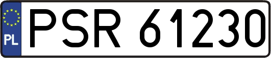 PSR61230