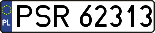 PSR62313
