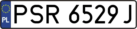PSR6529J