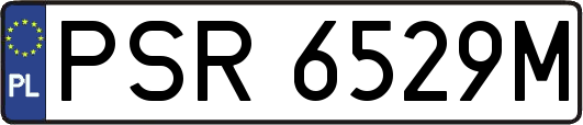 PSR6529M