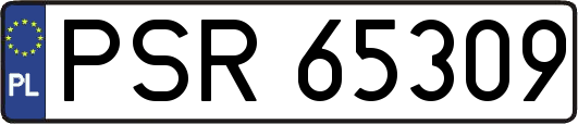 PSR65309