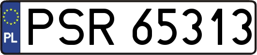 PSR65313