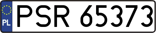 PSR65373