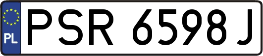 PSR6598J
