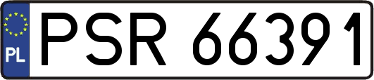 PSR66391